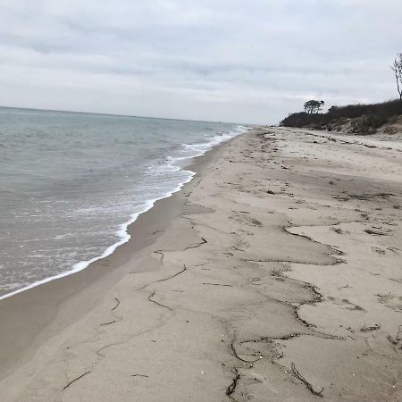 Zum Nordstrand Prerow Exteriör bild