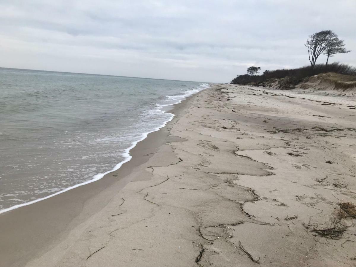 Zum Nordstrand Prerow Exteriör bild